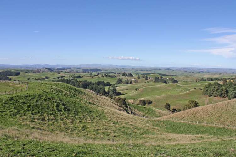 176 Flag Range Road Sherenden_8