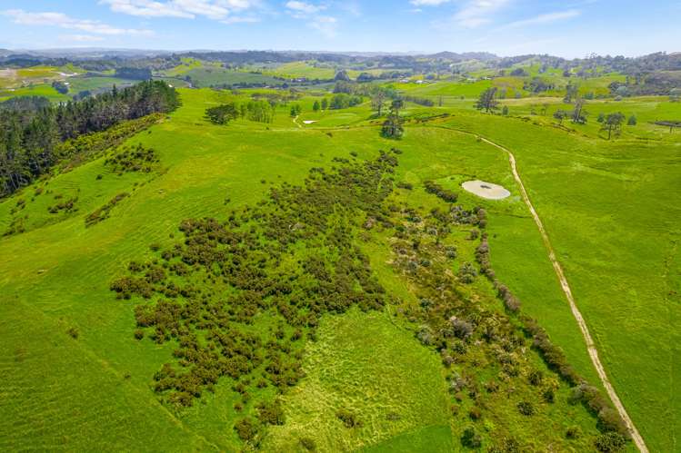 515 Kahikatea Flat Road Waitoki_24