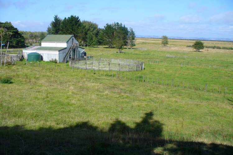 3483 Kaipara Coast Highway Glorit_19