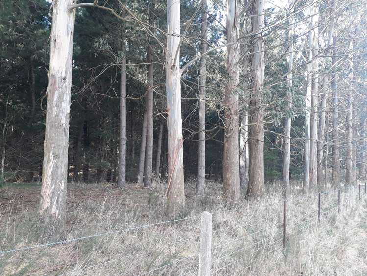 86 West Maerewhenua Road North Otago Surrounds_7