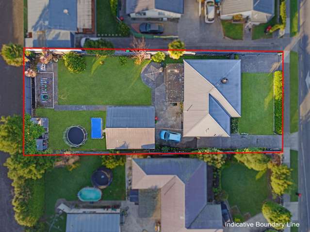 184 Guppy Road Taradale_3