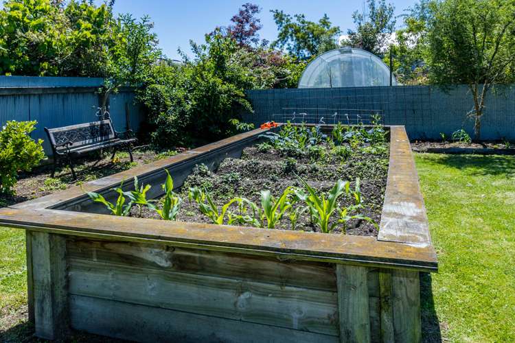 37 Hamilton Street Temuka_14