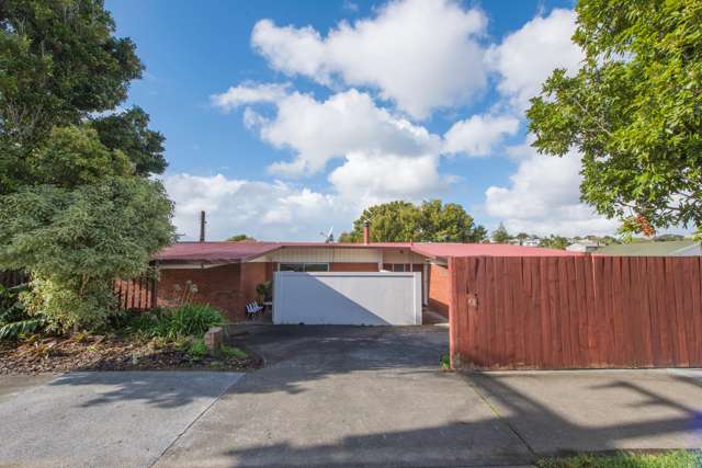 19a Holly Street Avondale_2