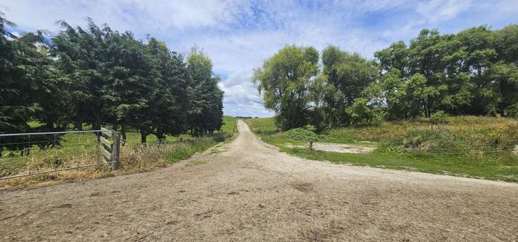 62 Ngamotu Road Rerewhakaaitu_22