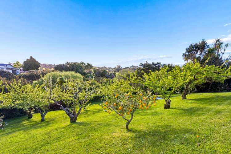 7 Carter Road Oratia_26