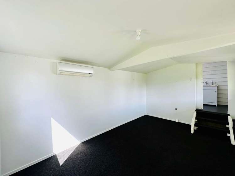 58 Ivanhoe Road Grey Lynn_12