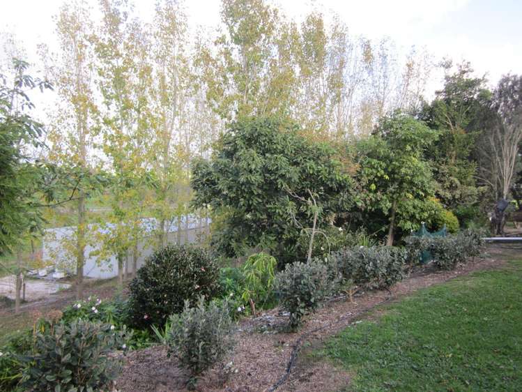 130 Carruth Road Poroti_20