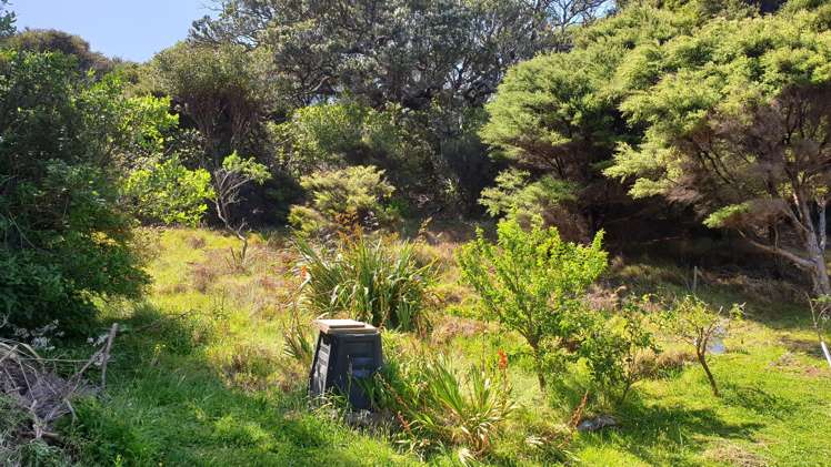 38a Blackwell Drive Great Barrier Island_6