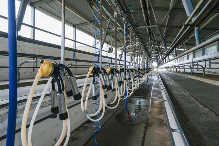 38 Williams Road Eiffelton_9