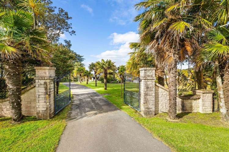 185 Red Hills Road Massey_0