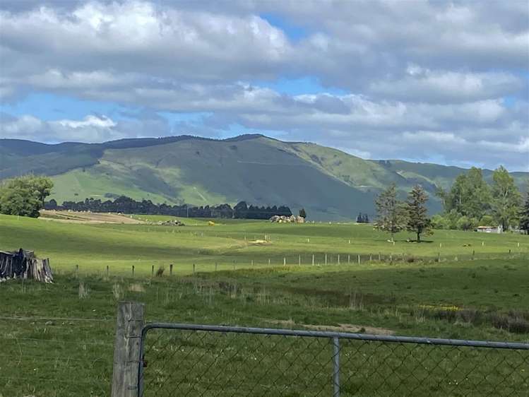 21 York Street Ohai_6