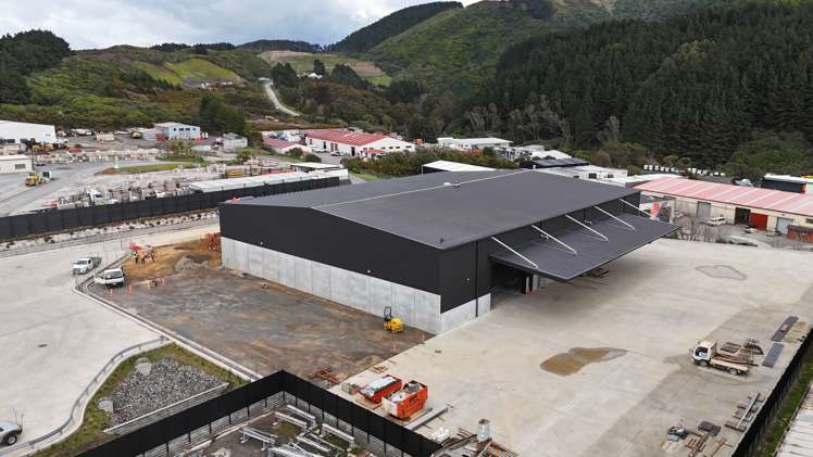 3 Kinleith Grove Kenepuru_1