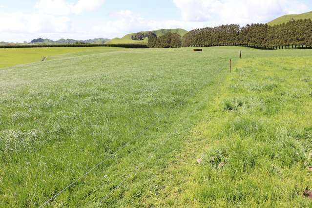 734 Bird Road Pukengahu_2