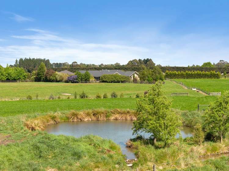 249 Curraghs Road Rolleston_20