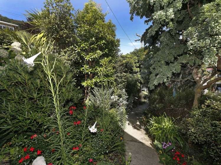 56 Durham Street Picton_1