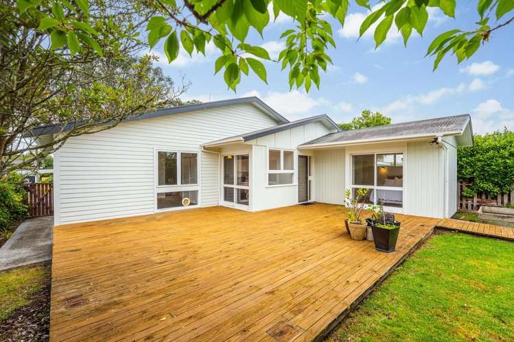 5 Taranaki Street St Johns Hill_15