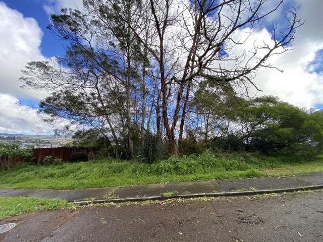 Freehold Section 750sqm Massey