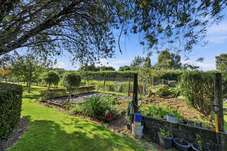 78B Walker Road East Aongatete_16