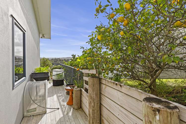 25j Violet Street Raglan_13