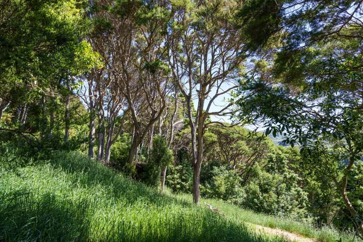 24 Fred Hollows Way Glenleith_6