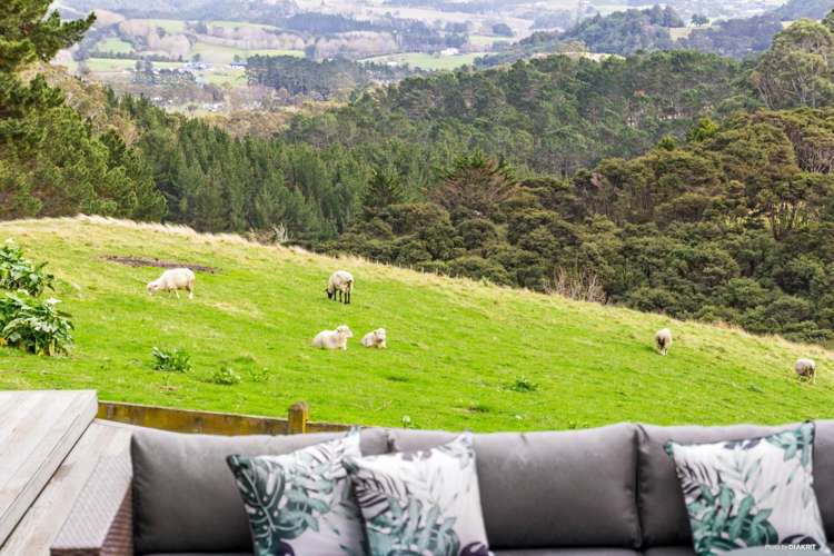 212 Ara-Kotinga Whitford_16