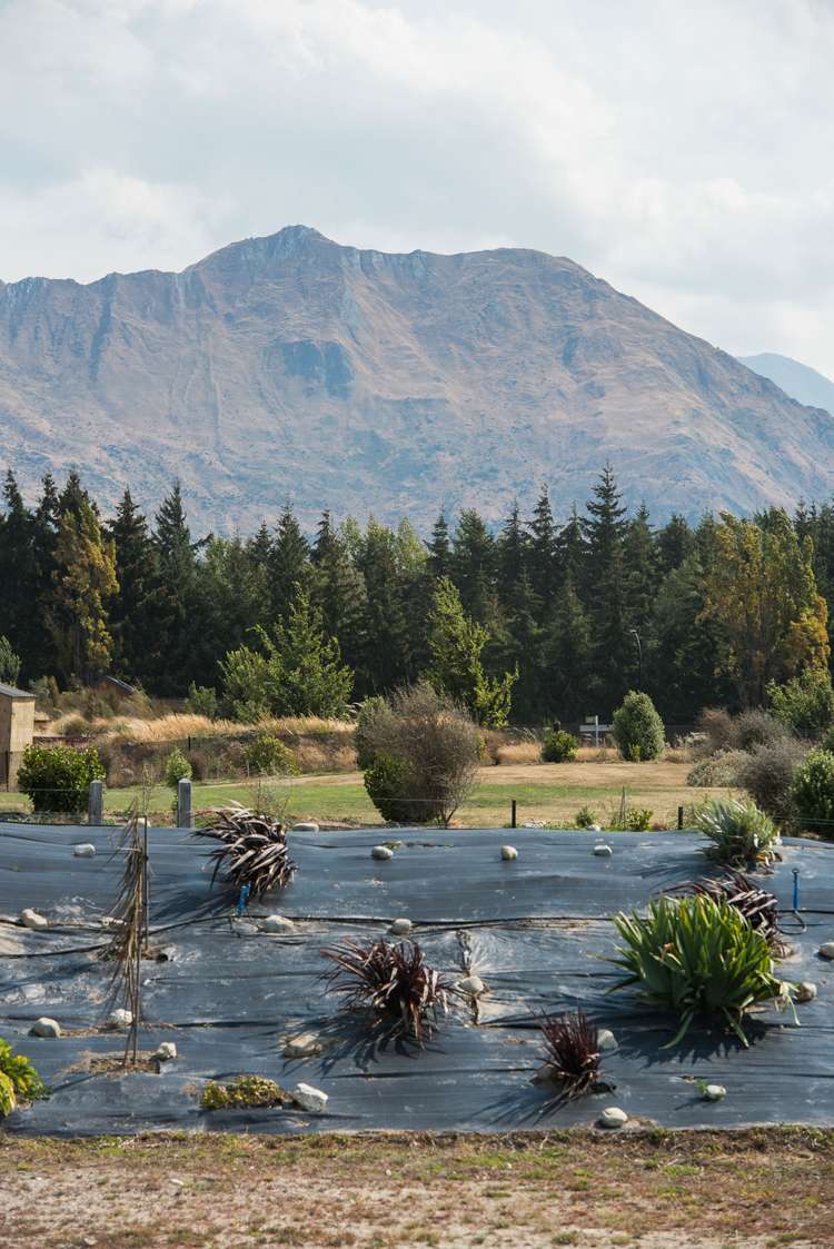 11 Nokomai Street Wanaka_5