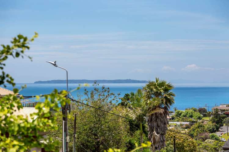 88 Matipo Road Mairangi Bay_3