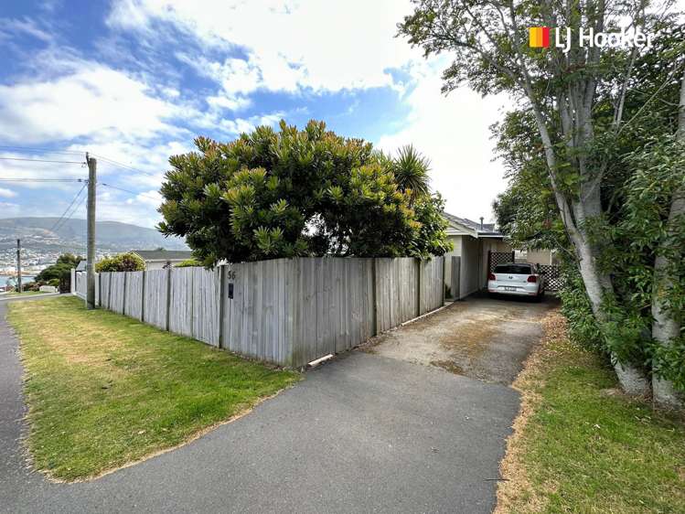 56 Scobie Road Waverley_13