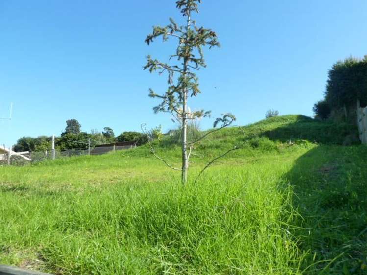 137 Herewaka Street Thames_8