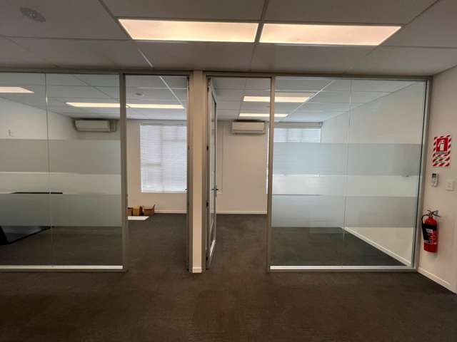 3 Burns Street Grey Lynn_3