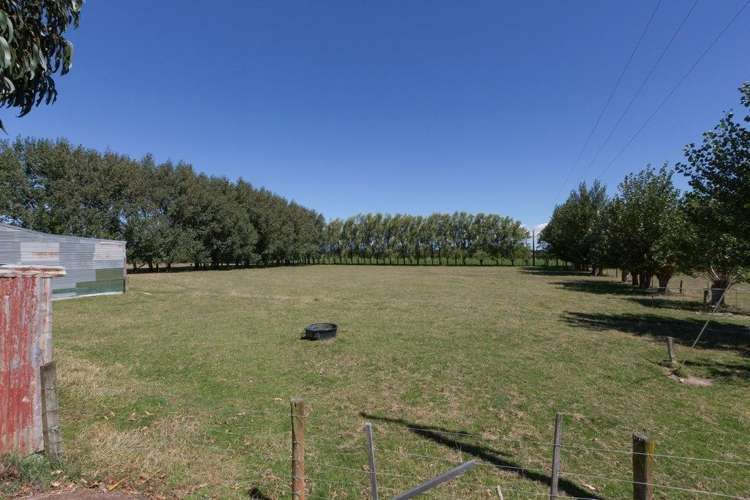 822 Kairanga Bunnythorpe Road Kairanga_41