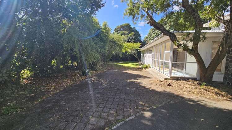 275a Carrington Street Vogeltown_17