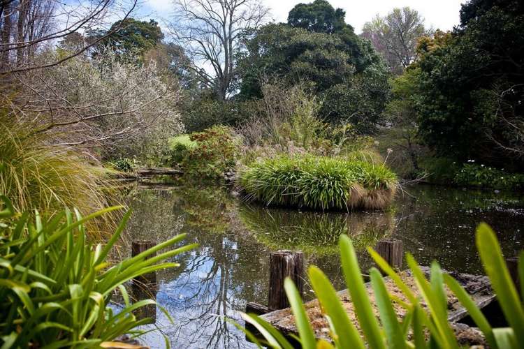 75 Waimata Valley Road Makauri_5