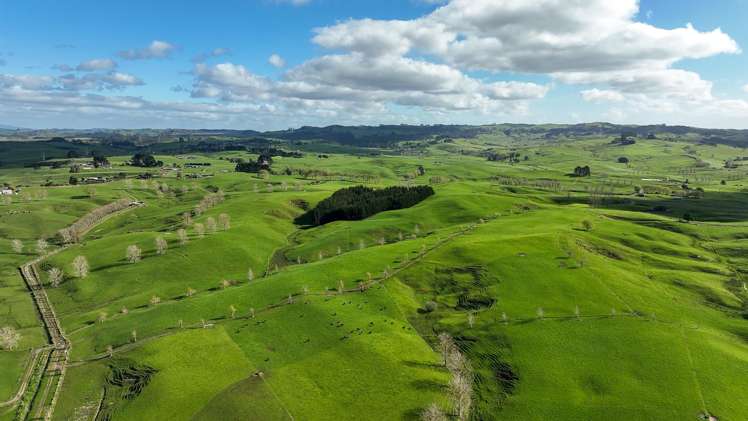 819 Waikokowai Road Ruawaro_27