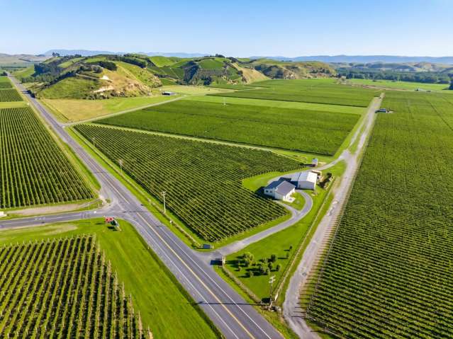 Premium Gimblett Gravels Viticulture Opportunity