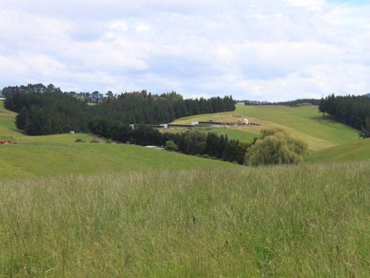 171 Hughes Road Palmerston_18