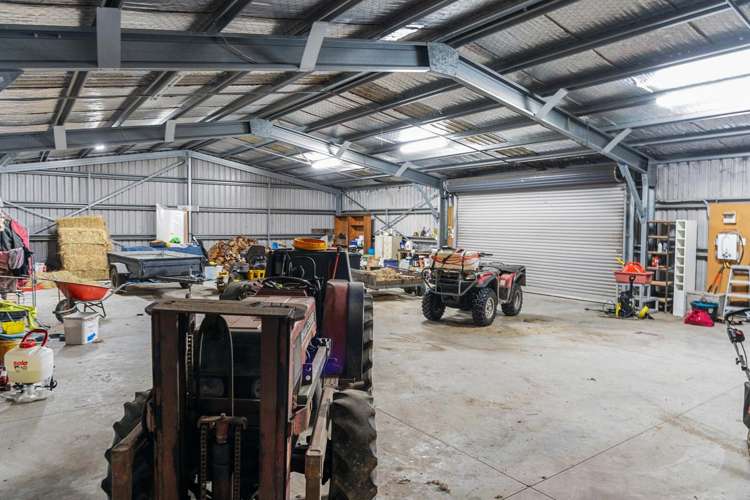 99 Homewood Drive Te Puke_19