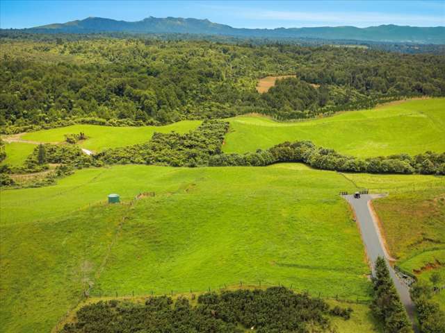 938C Whakamarama Road Whakamarama_3