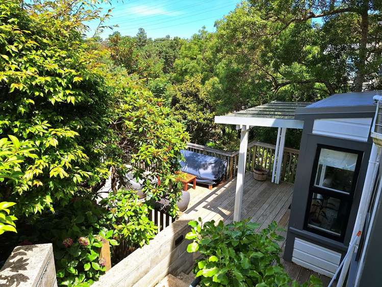 21A Mortimer Terrace Aro Valley_18