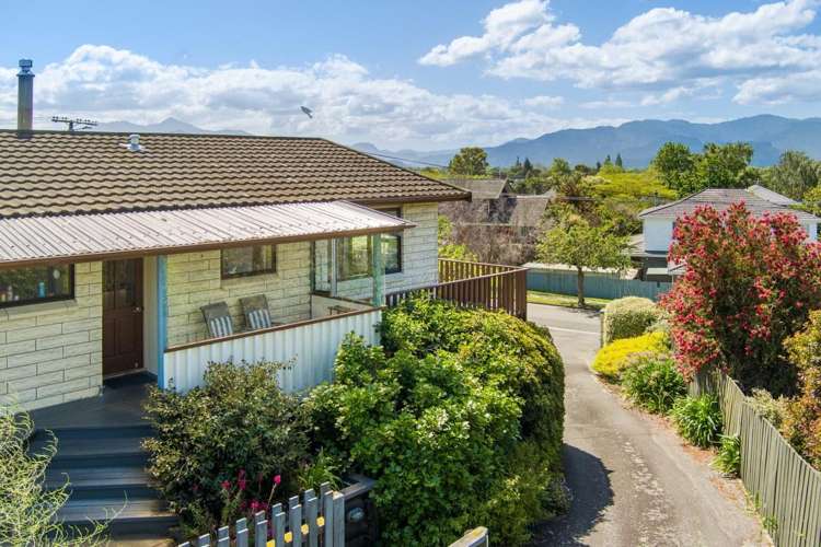 3 Wilson Street Renwick_38