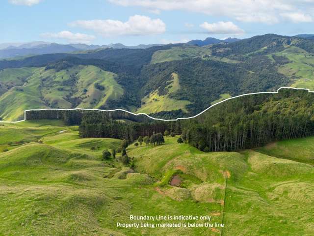 7200B State Highway 26 Paeroa_1