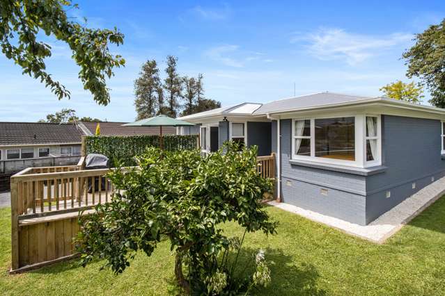 176 Williams Street Te Awamutu_2