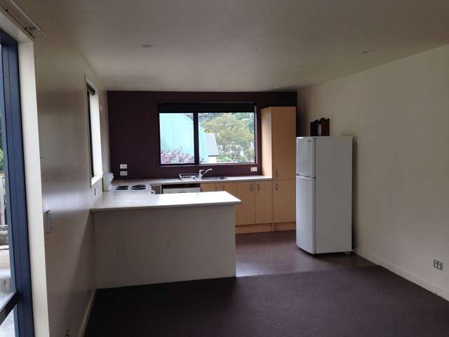 1/135 Forth Street North Dunedin_1