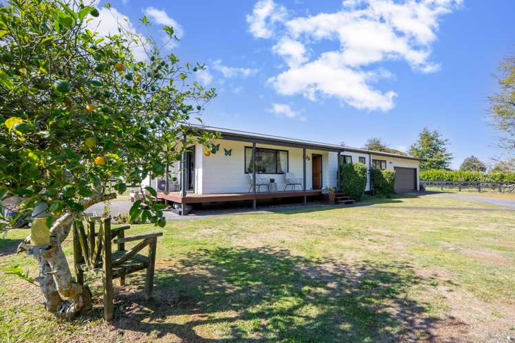 100 Bruntwood Road Pukemoremore_13