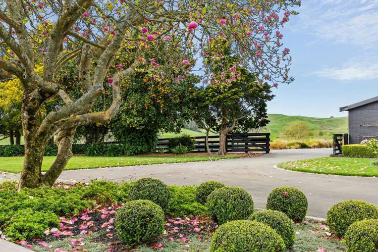161 Tahuroa Road Tauwhare_29