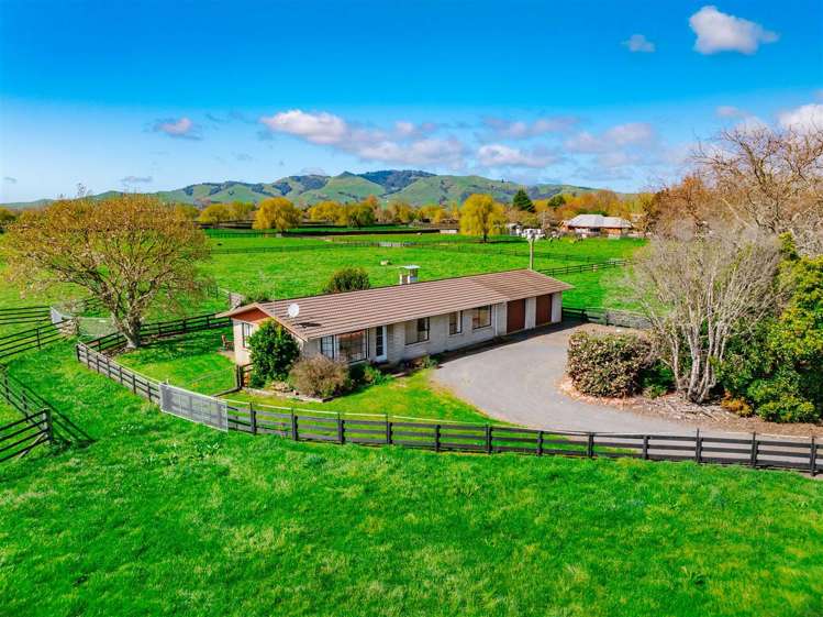 122 Rotoorangi Road Cambridge_28