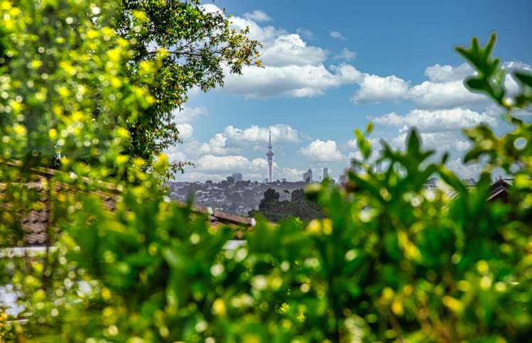 151 Hutchinsons Road Bucklands Beach_8