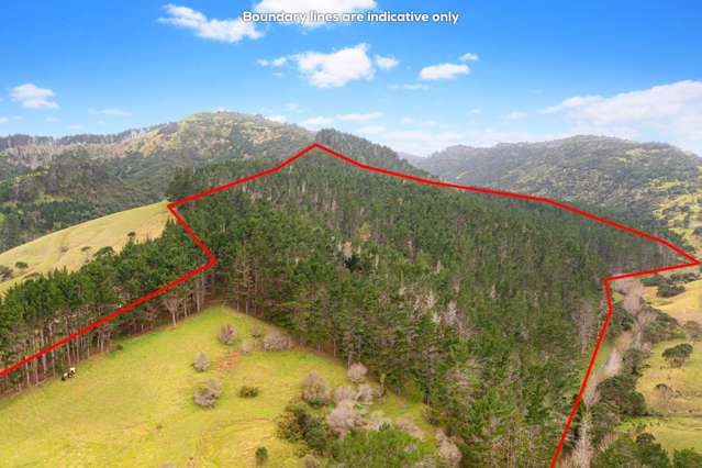 35ha Glorit Forestry/Farm Block