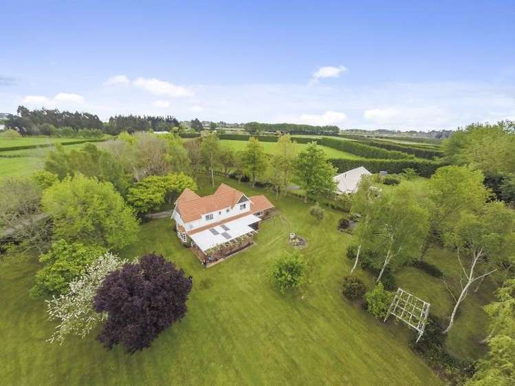 50c Trentham Road Matangi_0