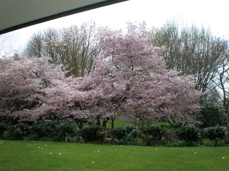 10 Fieldhouse Lane Matamata_15